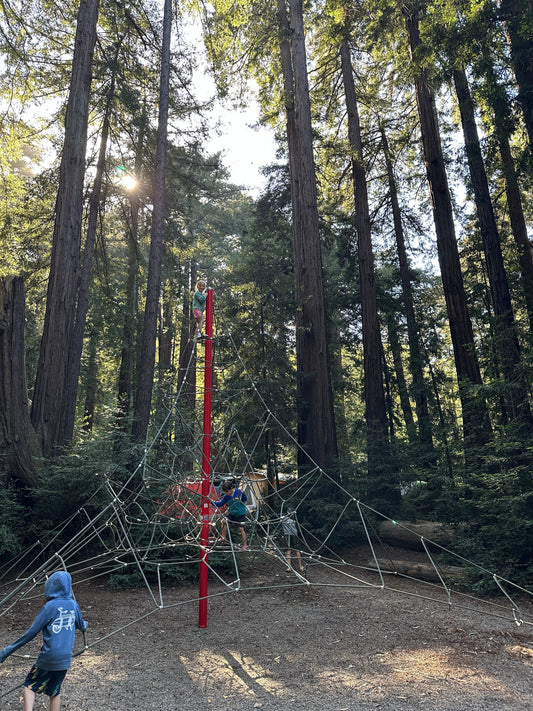 Best Family-Friendly Things to Do in Big Sur & Monterey with Kids